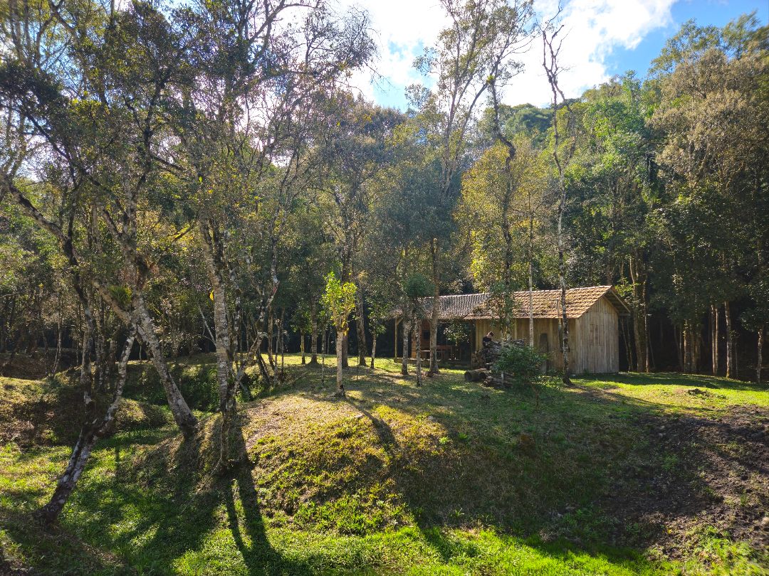 Propriedade Rural à venda em Rua Alberto Trouche, Rio Negrinho, SC - Foto 4 - Pillati Imóveis