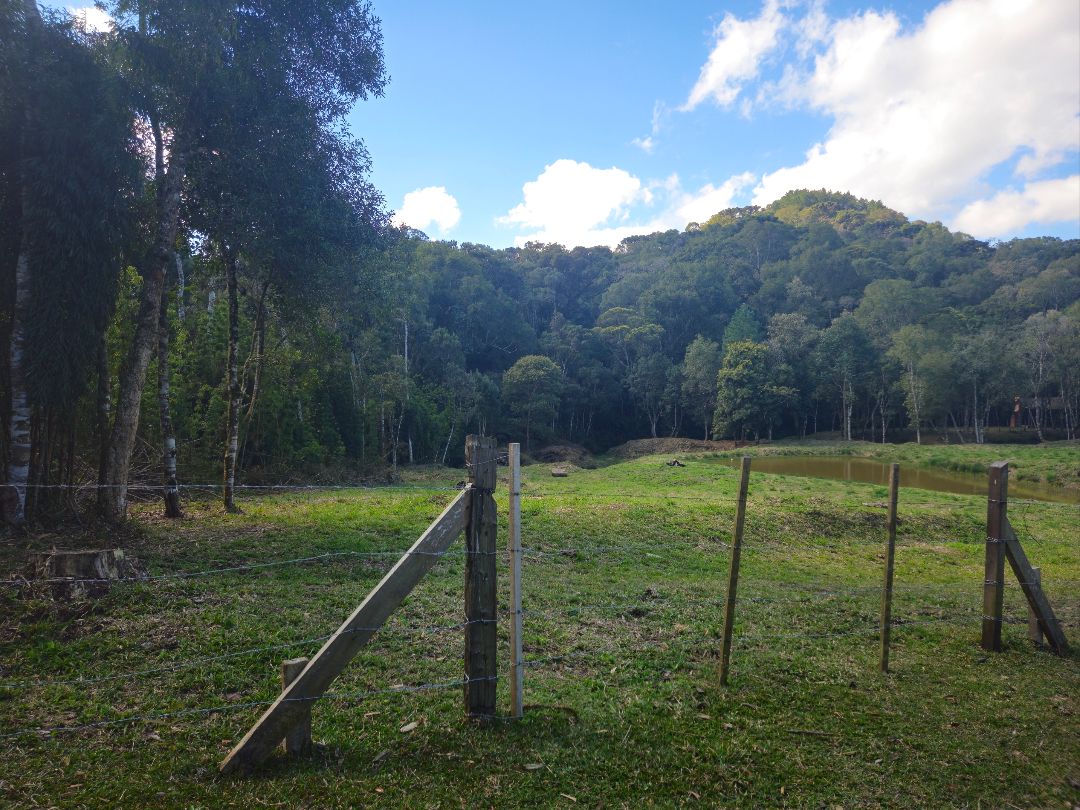Propriedade Rural à venda em Rua Alberto Trouche, Rio Negrinho, SC - Foto 10 - Pillati Imóveis