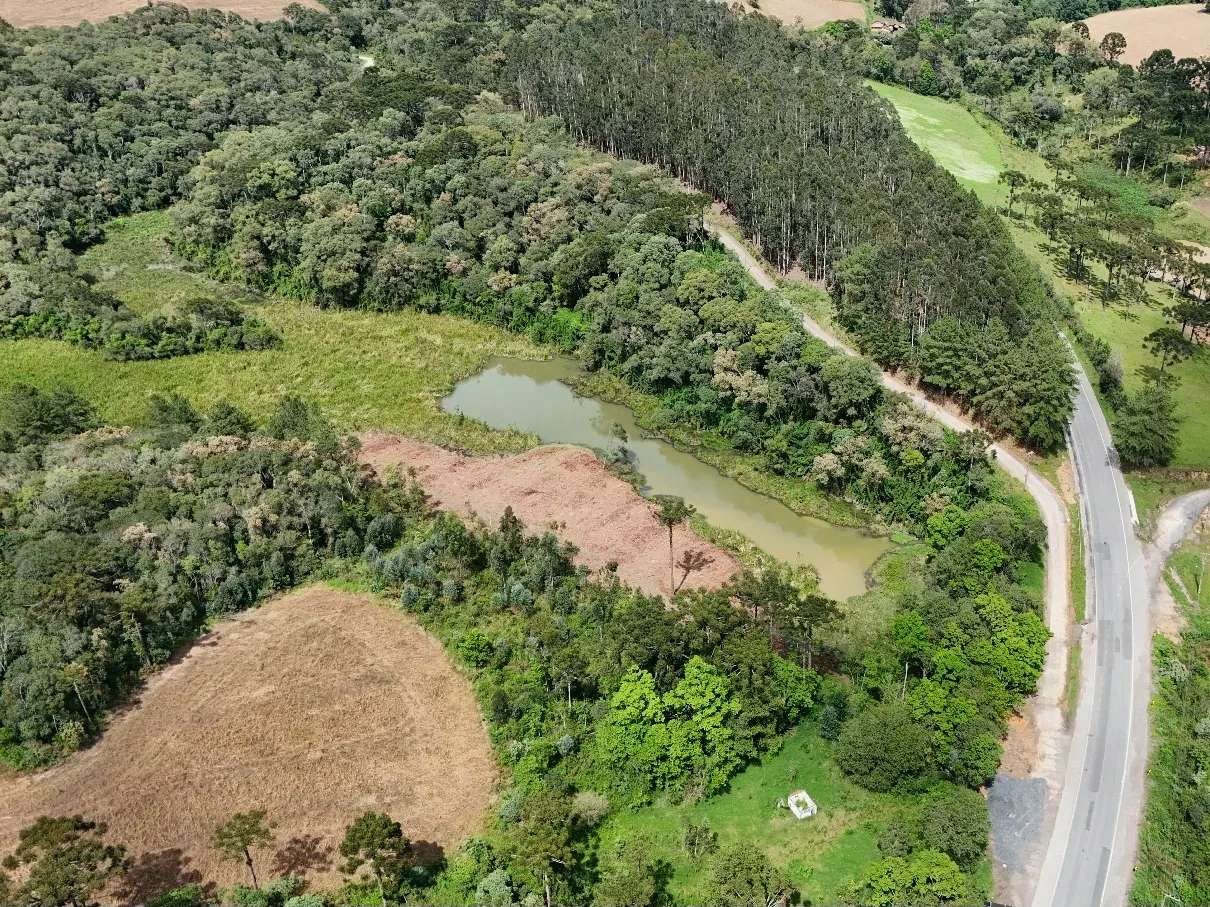 Propriedade Rural à venda em BR 280 5100, Rio Negrinho, SC - Foto 4 - Pillati Imóveis