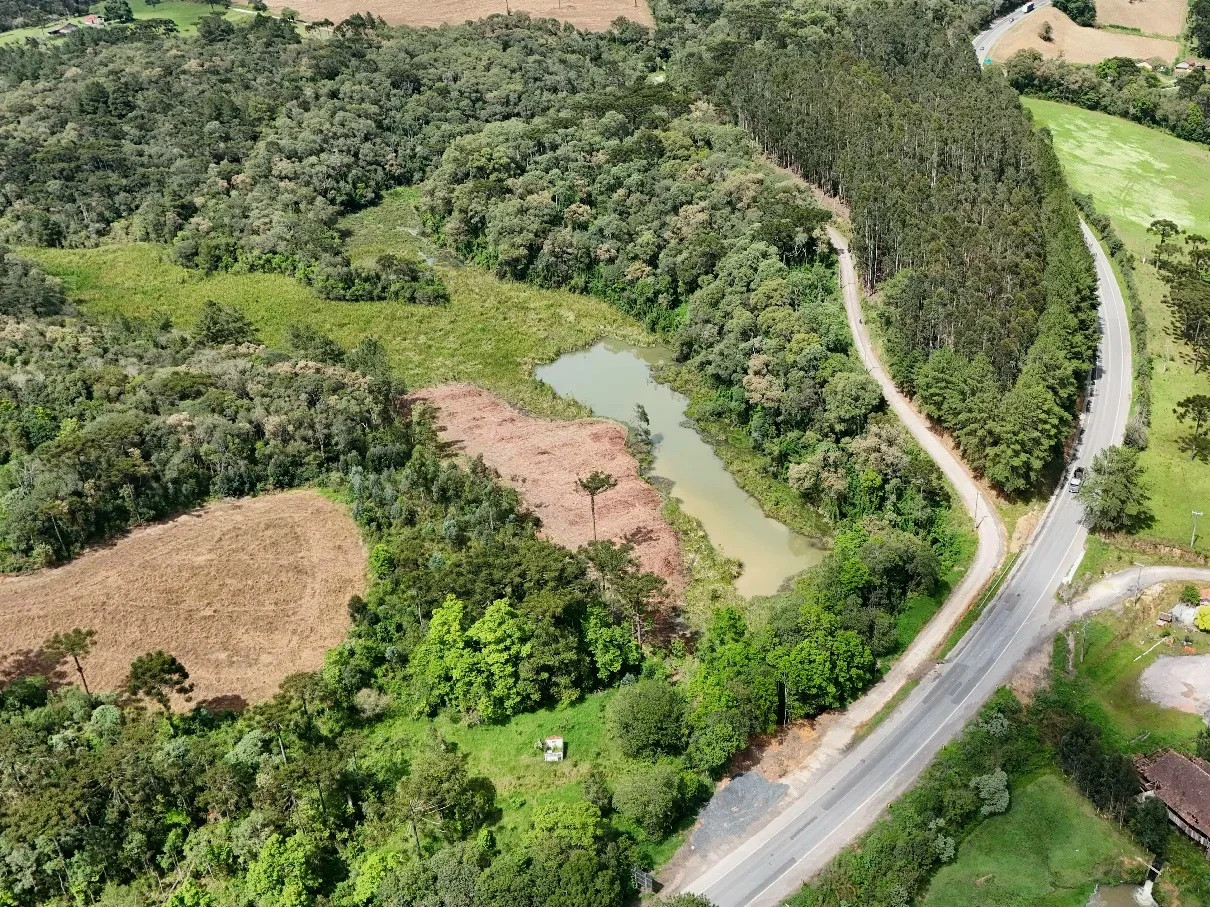 Propriedade Rural à venda em BR 280 5100, Rio Negrinho, SC - Foto 3 - Pillati Imóveis