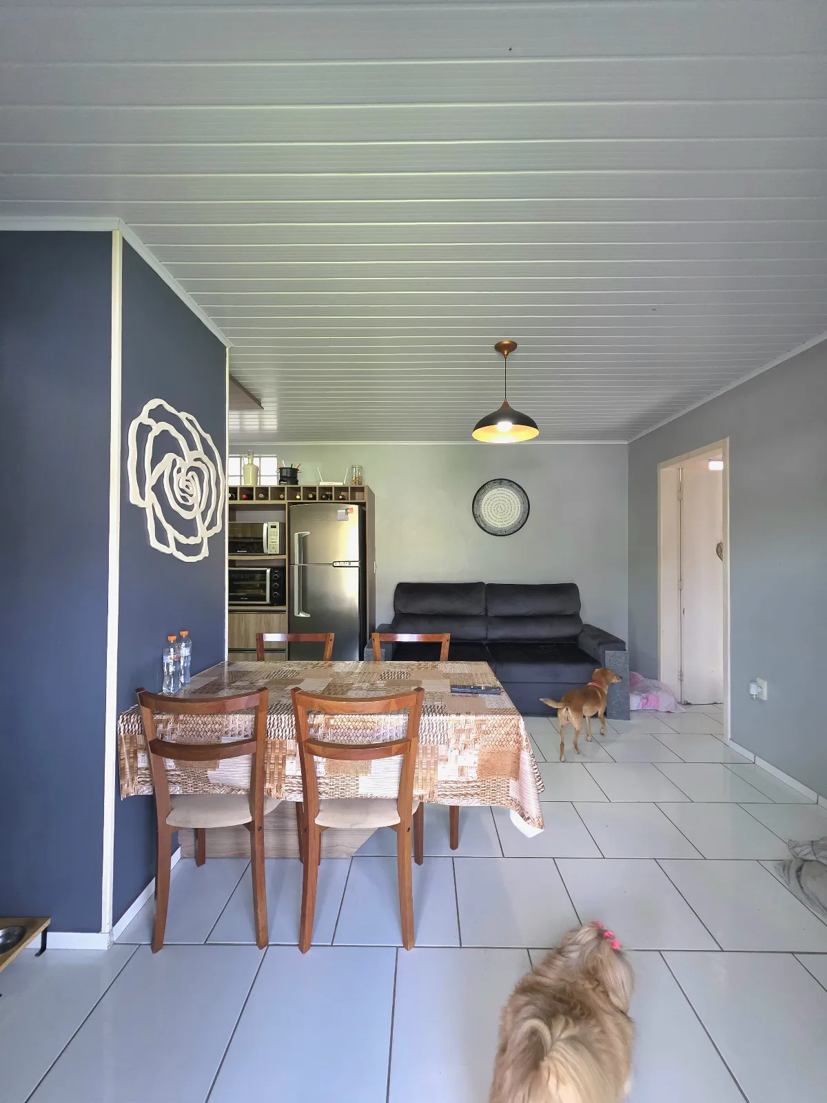 Casa à venda em Rua Roberto Buchmann 174, Rio Negrinho, SC - Foto 6 - Pillati Imóveis
