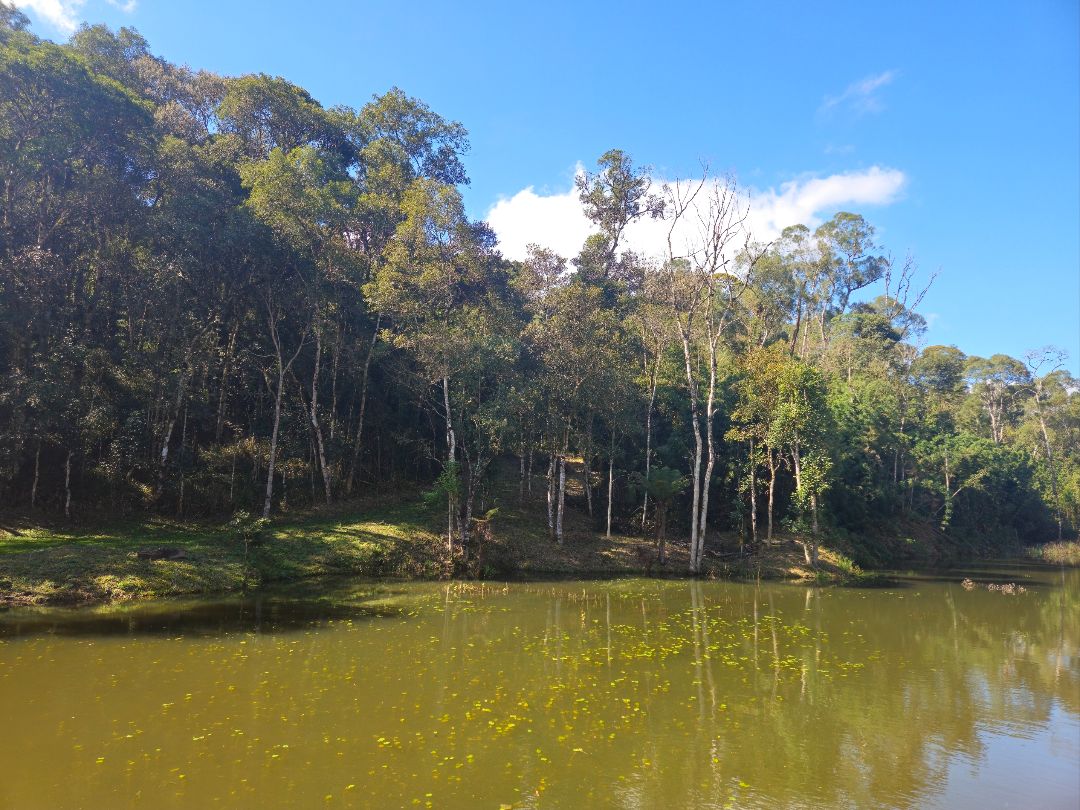 Propriedade Rural à venda em Rua Alberto Trouche, Rio Negrinho, SC - Foto 9 - Pillati Imóveis