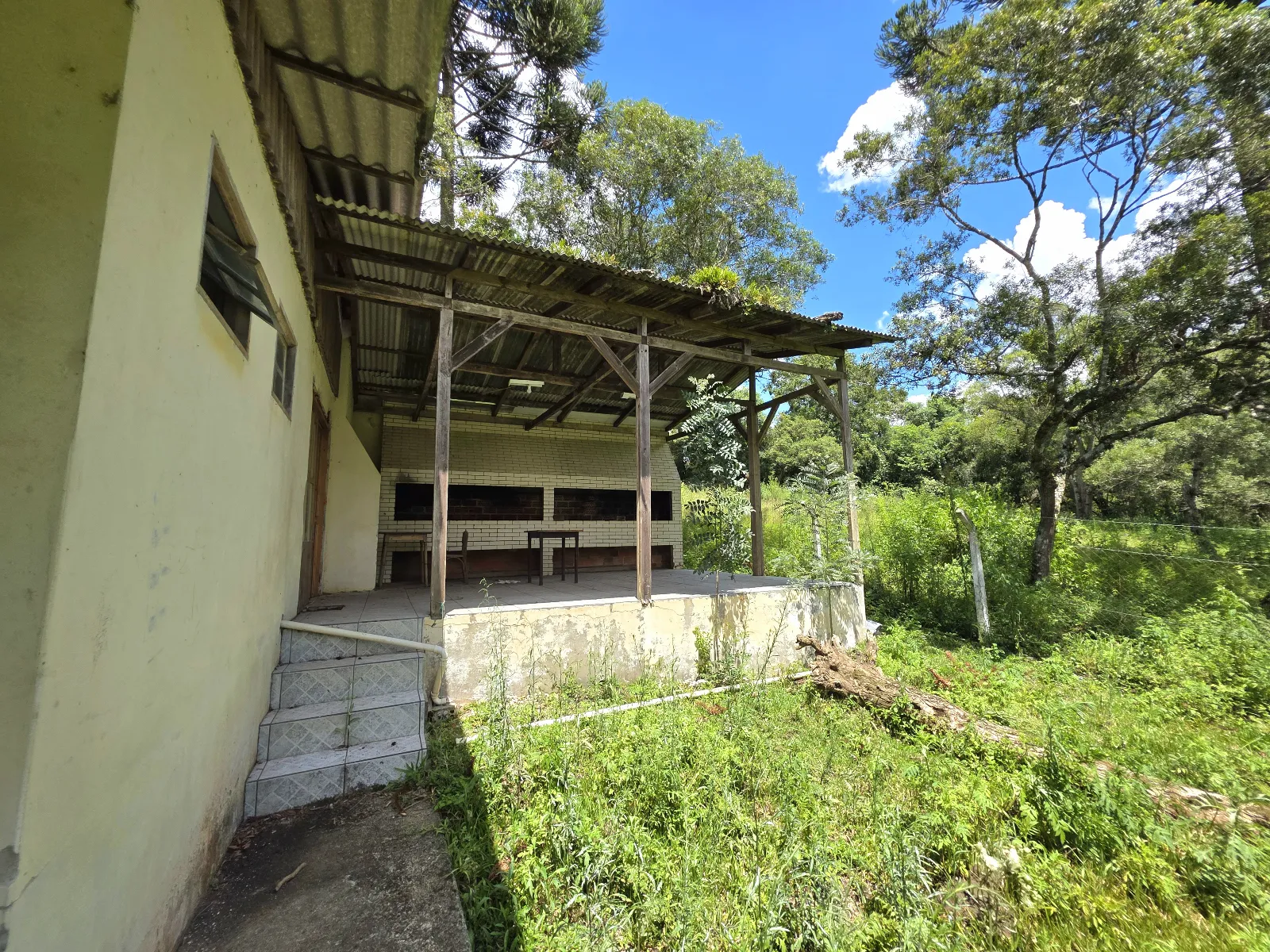 Propriedade Rural à venda em Rua André Muehlbauer, Rio Negrinho, SC - Foto 4 - Pillati Imóveis