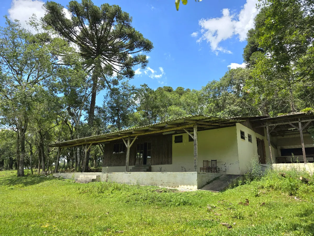 Chácara à venda em Rio Negrinho - São Rafael