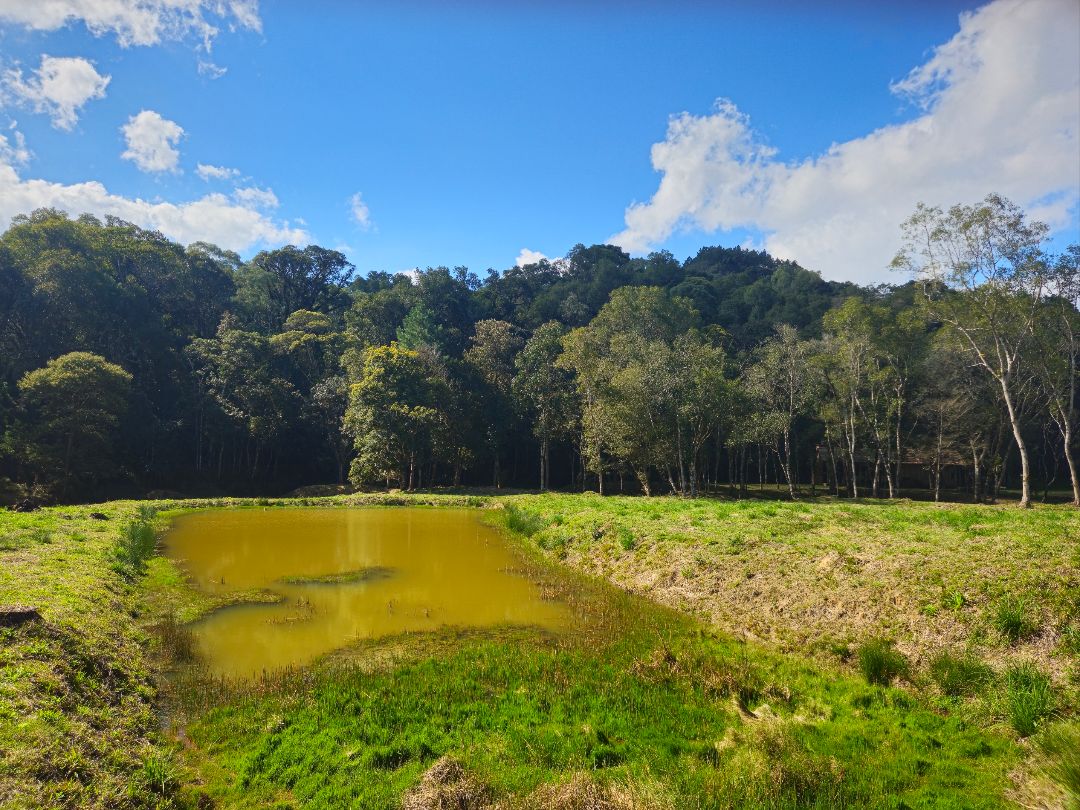 Propriedade Rural à venda em Rua Alberto Trouche, Rio Negrinho, SC - Foto 8 - Pillati Imóveis