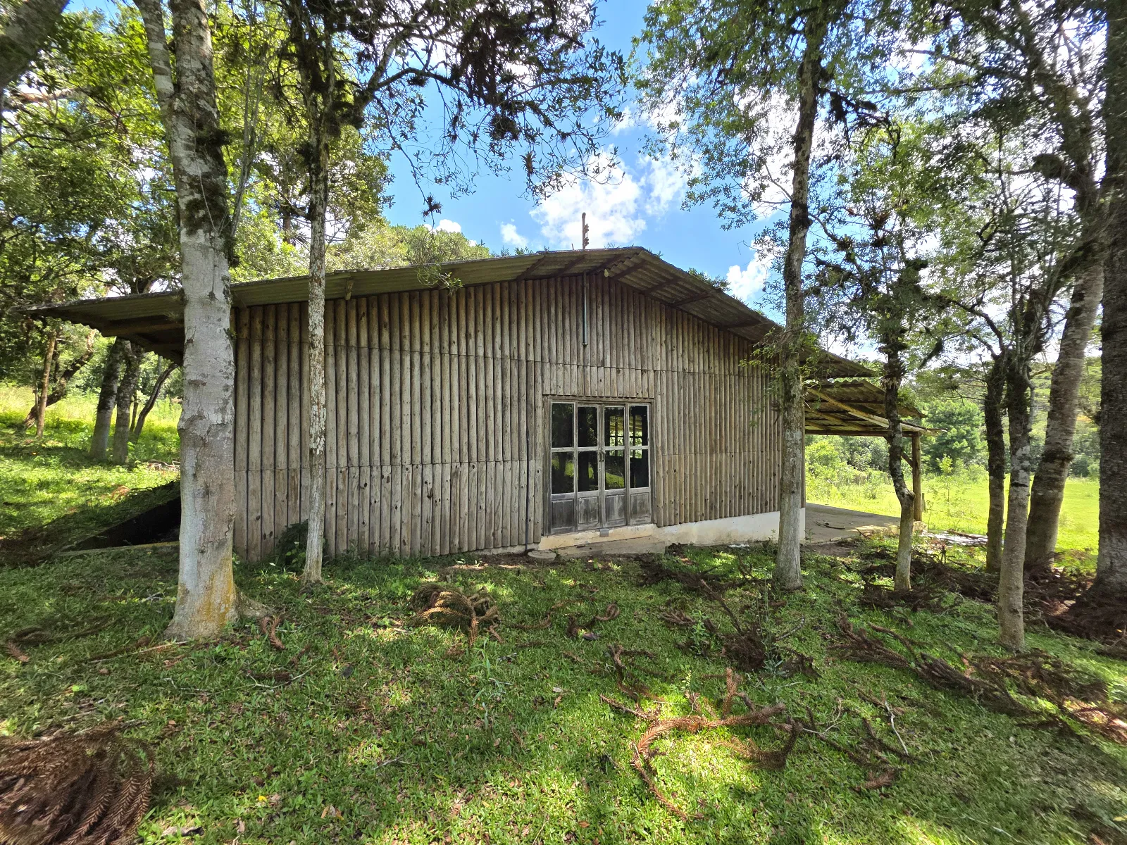 Propriedade Rural à venda em Rua André Muehlbauer, Rio Negrinho, SC - Foto 5 - Pillati Imóveis